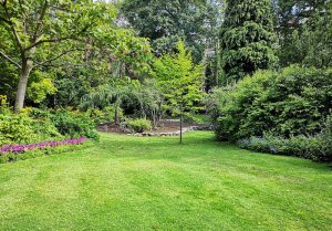 Optimiser l'expérience du jardin à Saint-Hilaire-les-Andresis